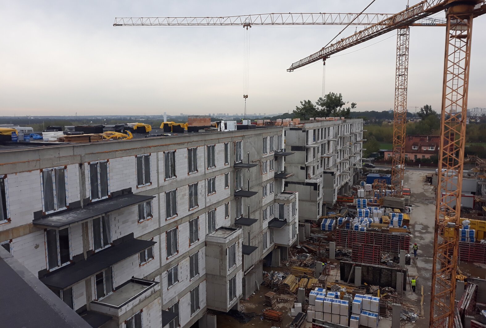 20191008-084346.jpg