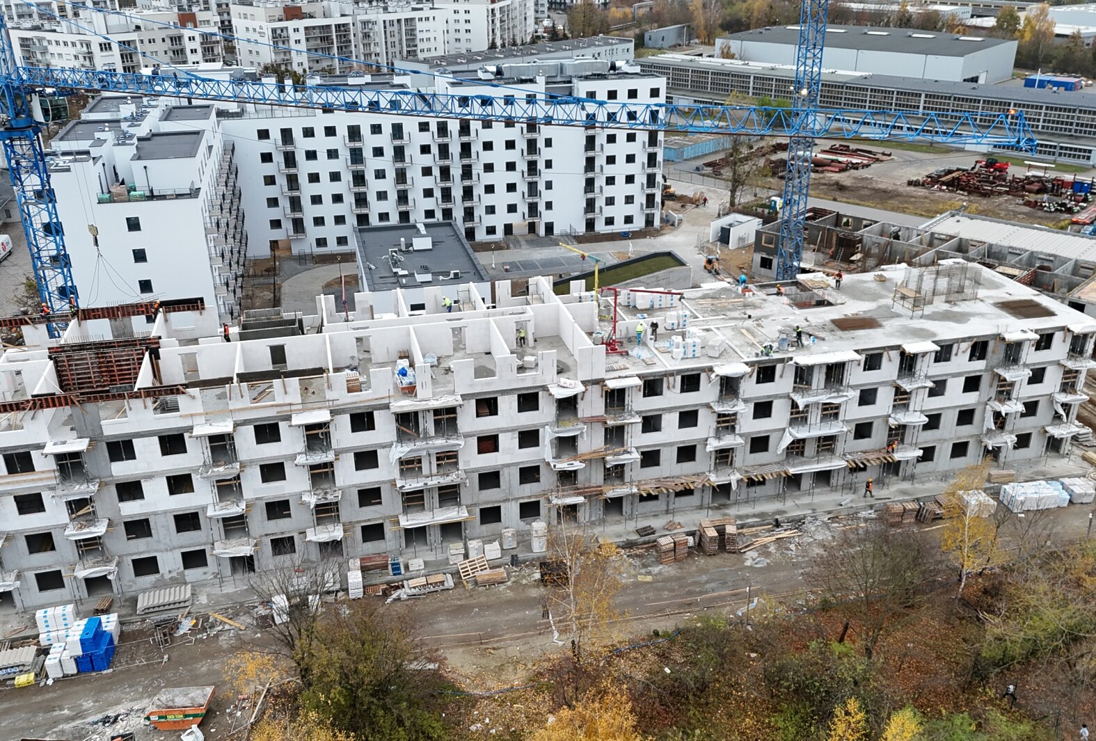 dji-20241115152519-0342-d.jpg